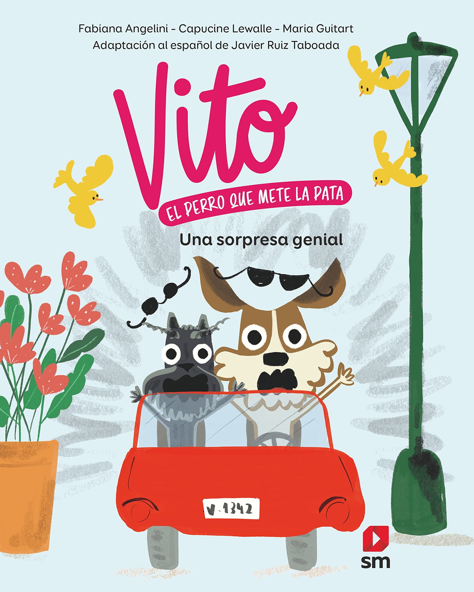 Una sorpresa genial (Vito)