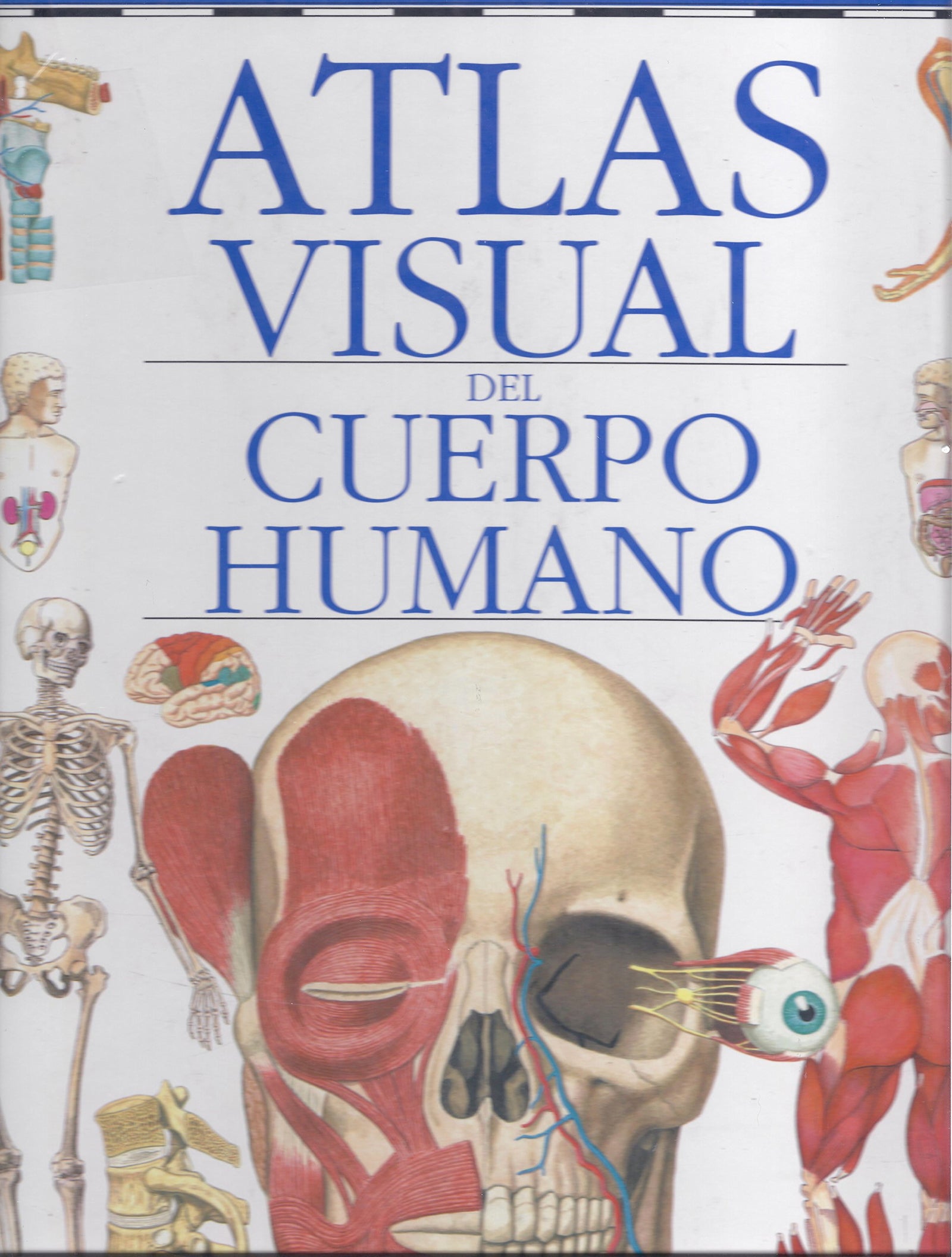 ATLAS VISUAL DEL CUERPO (SIN COLECCION)