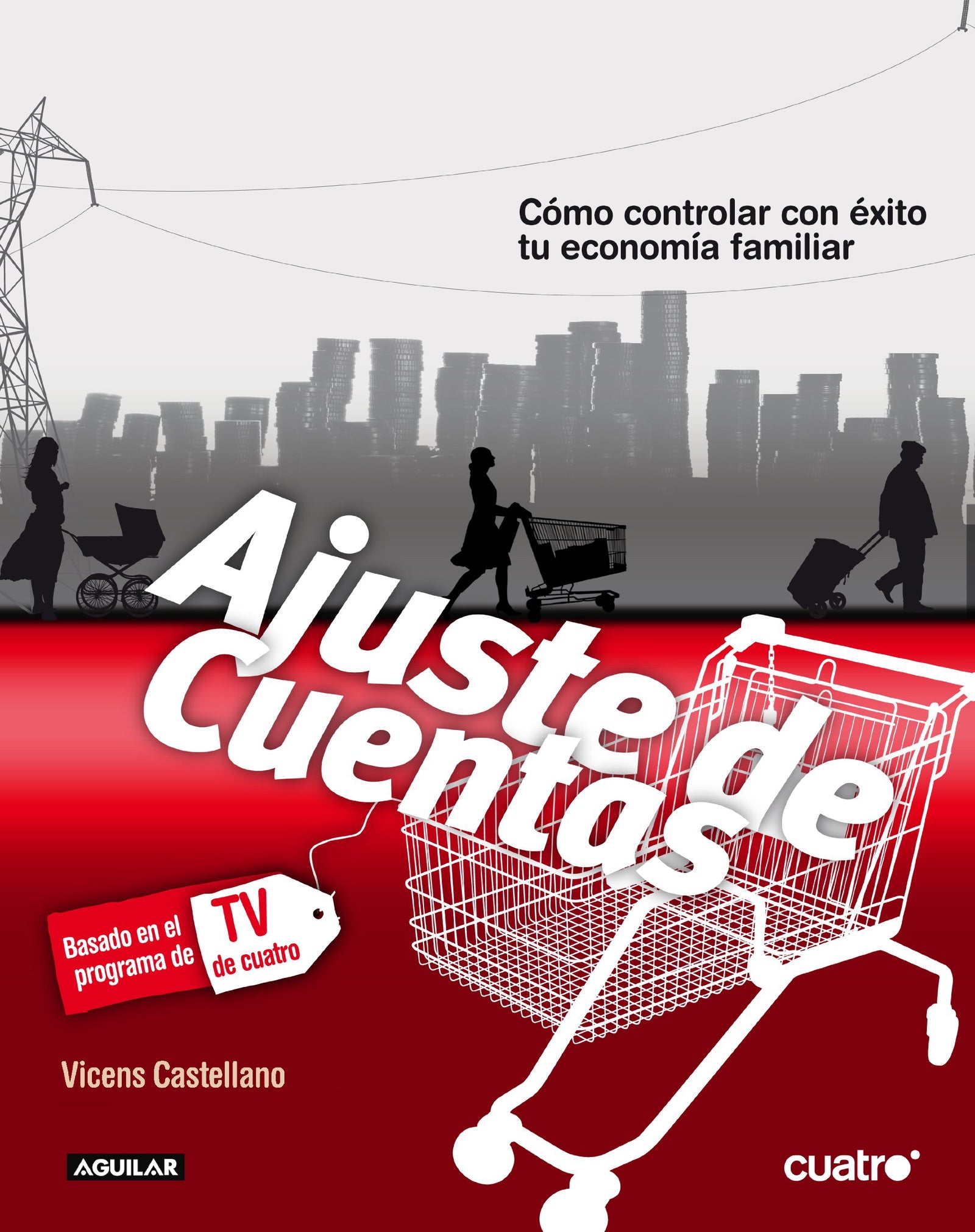 Ajuste de cuentas: Cómo controlar con éxito tu economía familiar (SIN COLECCION)