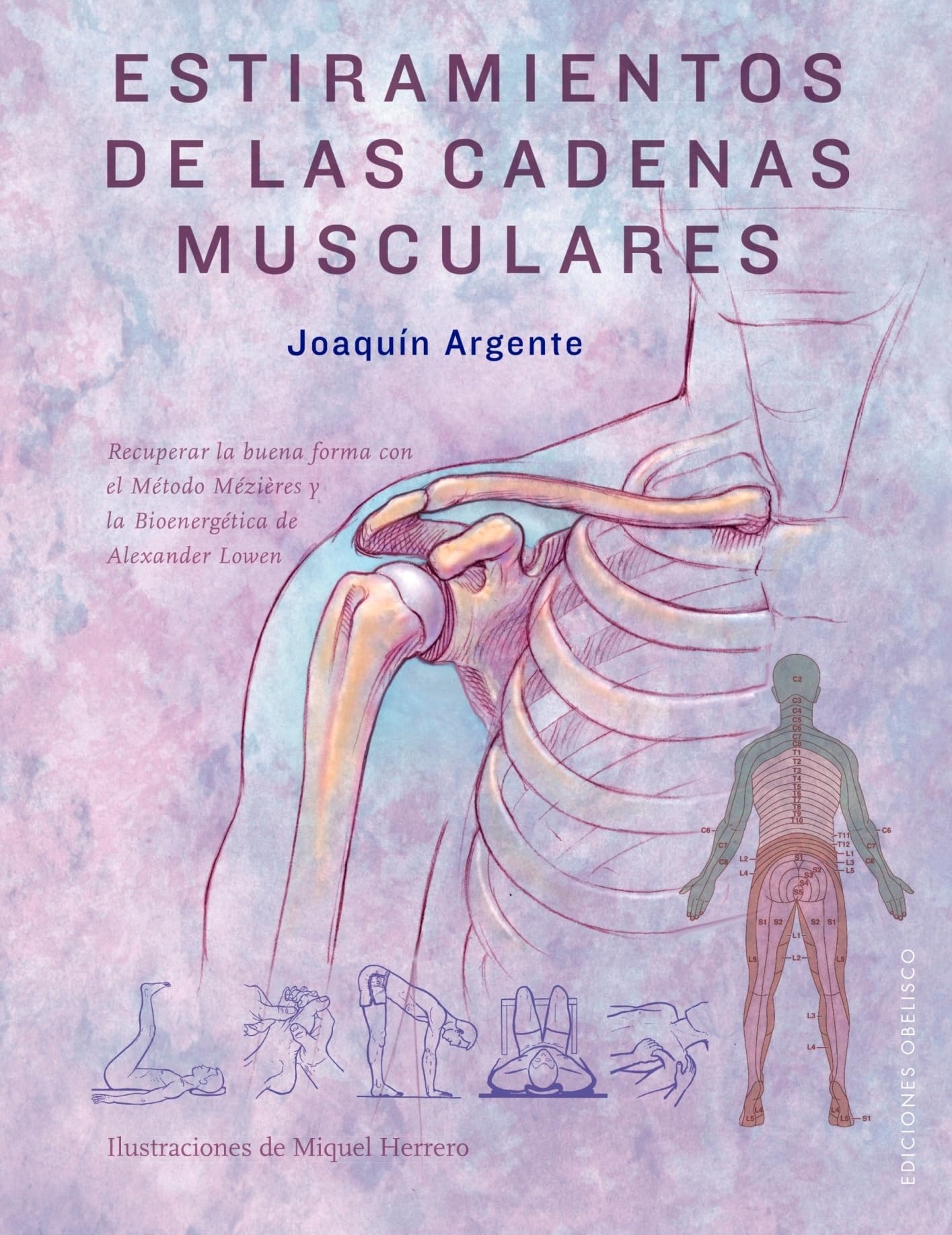 Estiramientos de las cadenas musculares