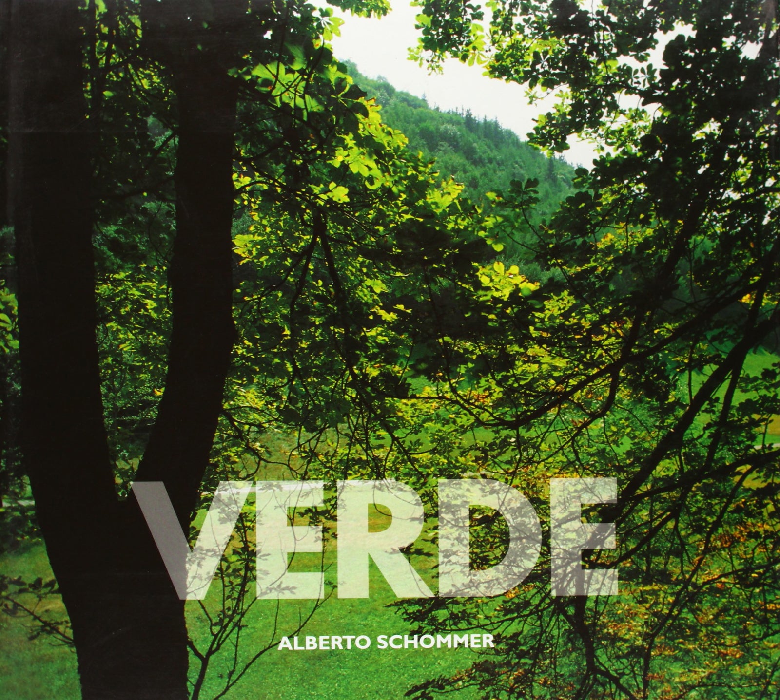 Verde (gipuzkoa)