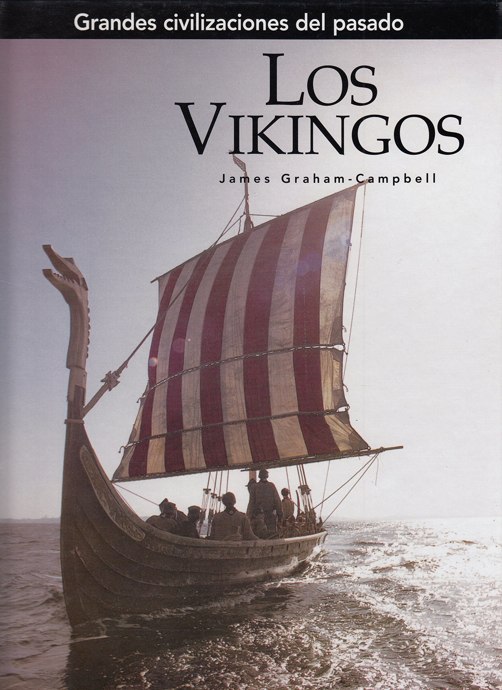 Los Vikingos