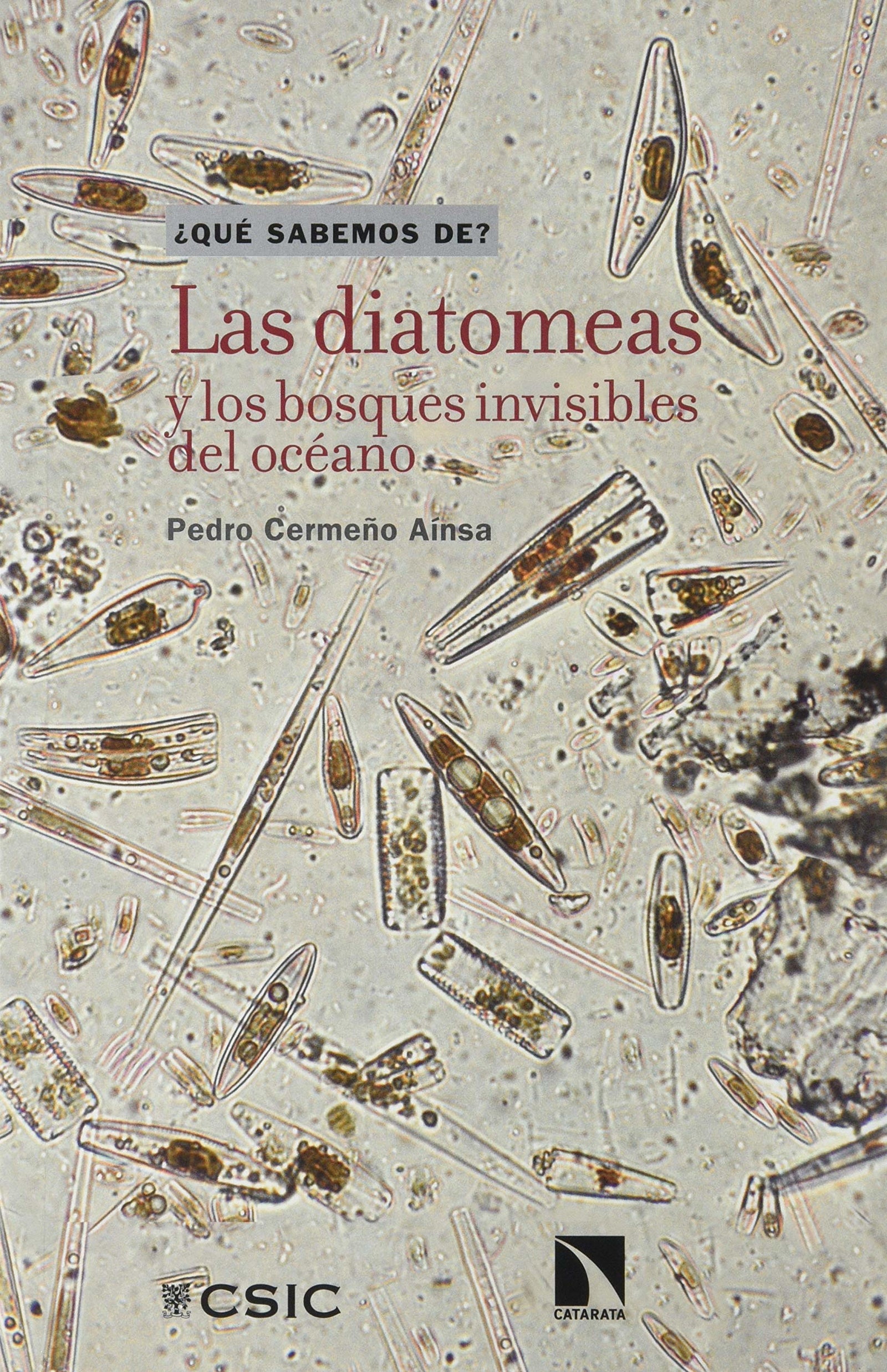Las Diatomeas y los bosques Invisibles Del Océano: 111 (¿Qué sabemos de?)