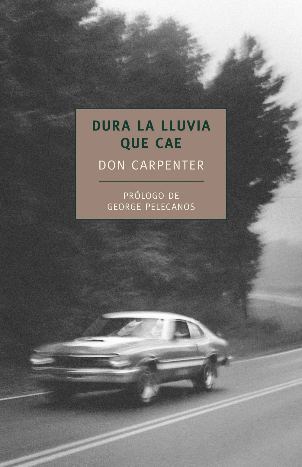 Dura la luvia que cae (NYRB (Duomo))