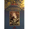 Los viajes extraordinarios de Julio Verne: Las tribulaciones de un chino en China: Vol.(17)