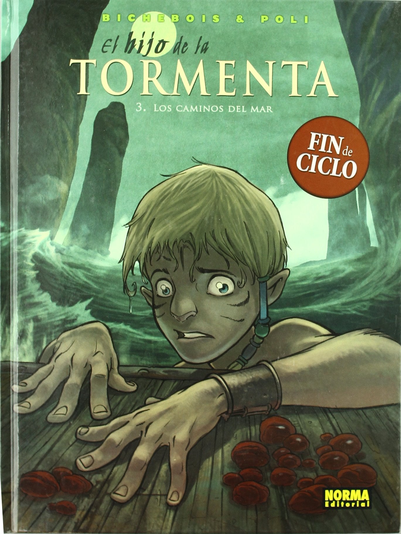 Hijo de la tormenta 3 - los caminos del mar -El Hijo De La Tormenta (CÓMIC EUROPEO)