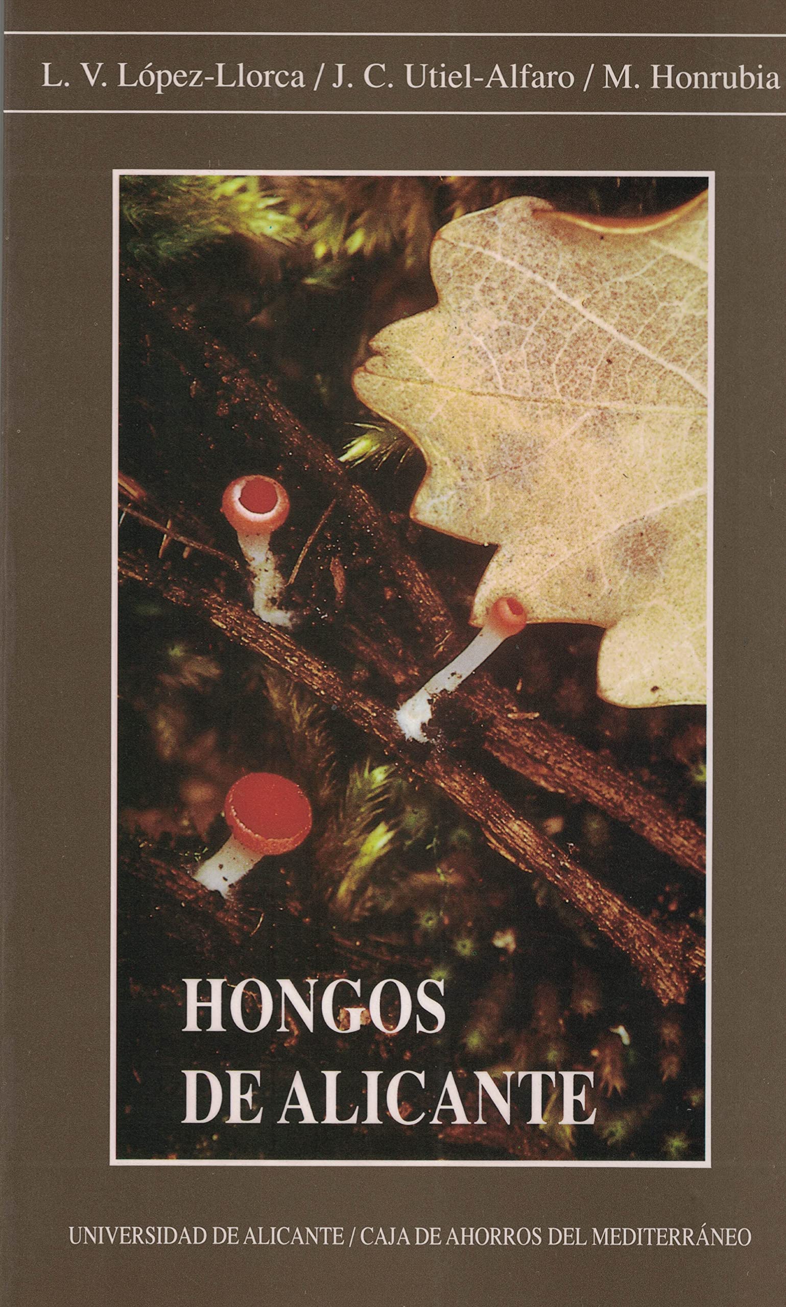 Hongos de Alicante (Monografías)