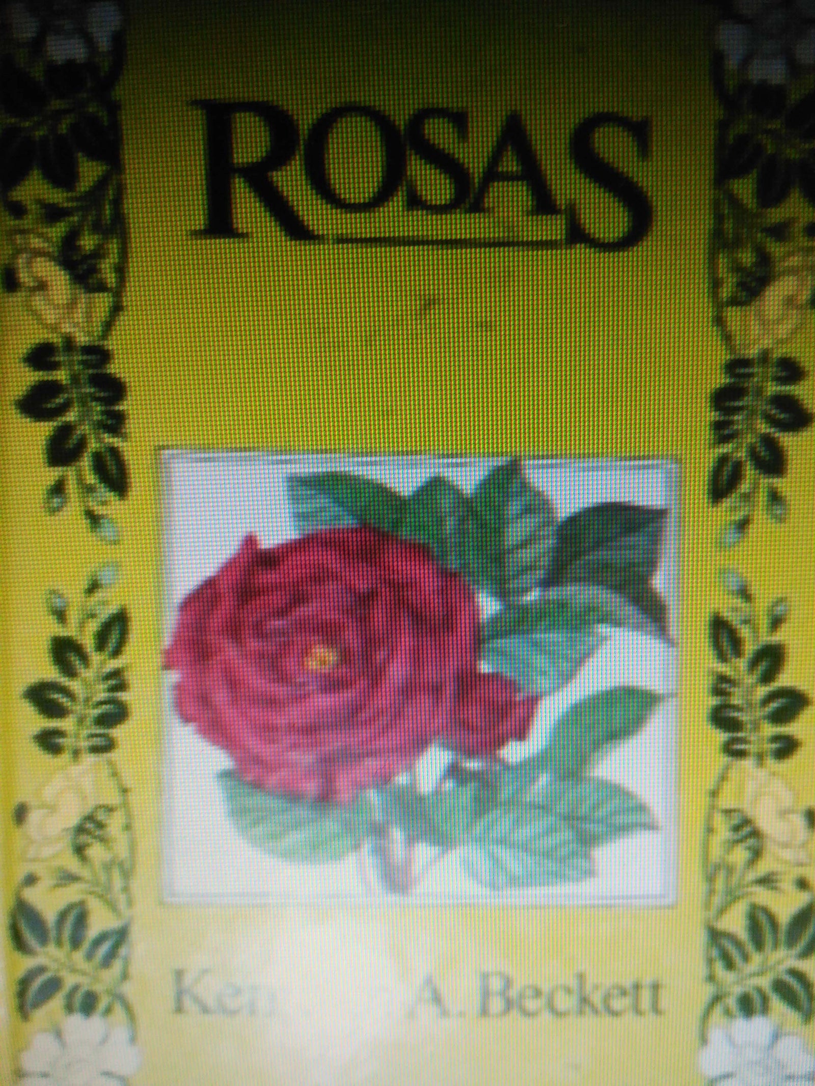 Rosas