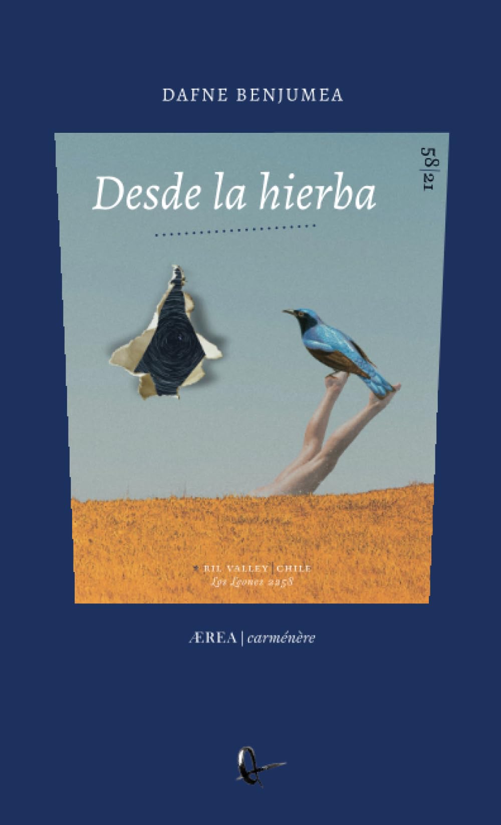 Desde la hierba