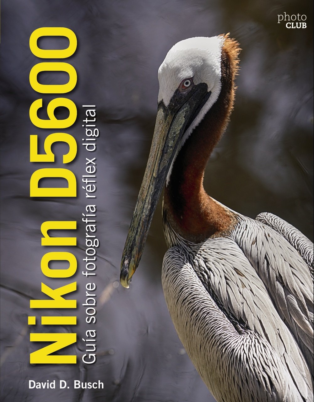Nikon D5600. Guía sobre fotografía réflex digital (PHOTOCLUB)