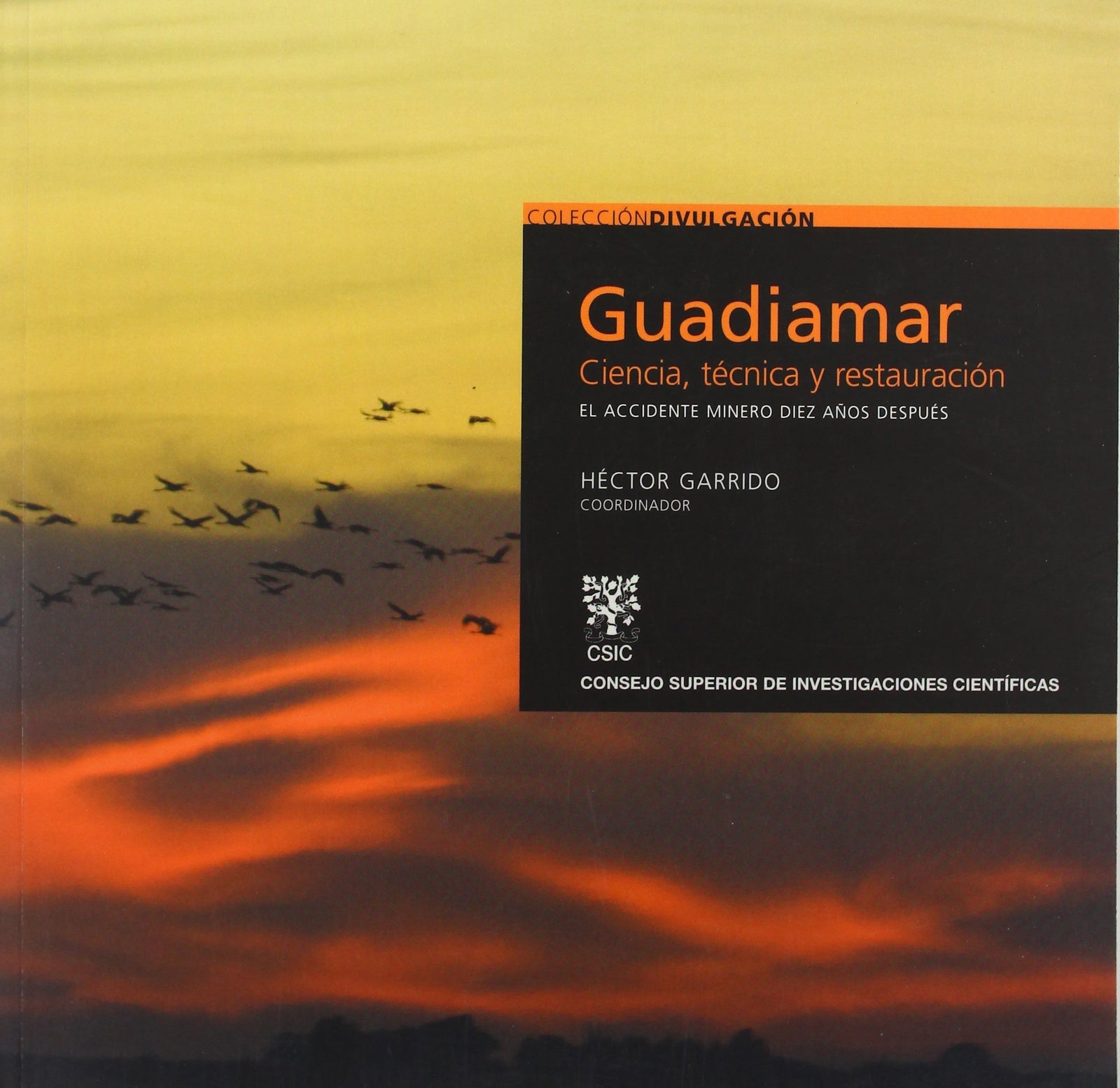 Guadiamar: ciencia, técnica y restauración: El accidente minero diez años después: 8 (Colección Divulgación)
