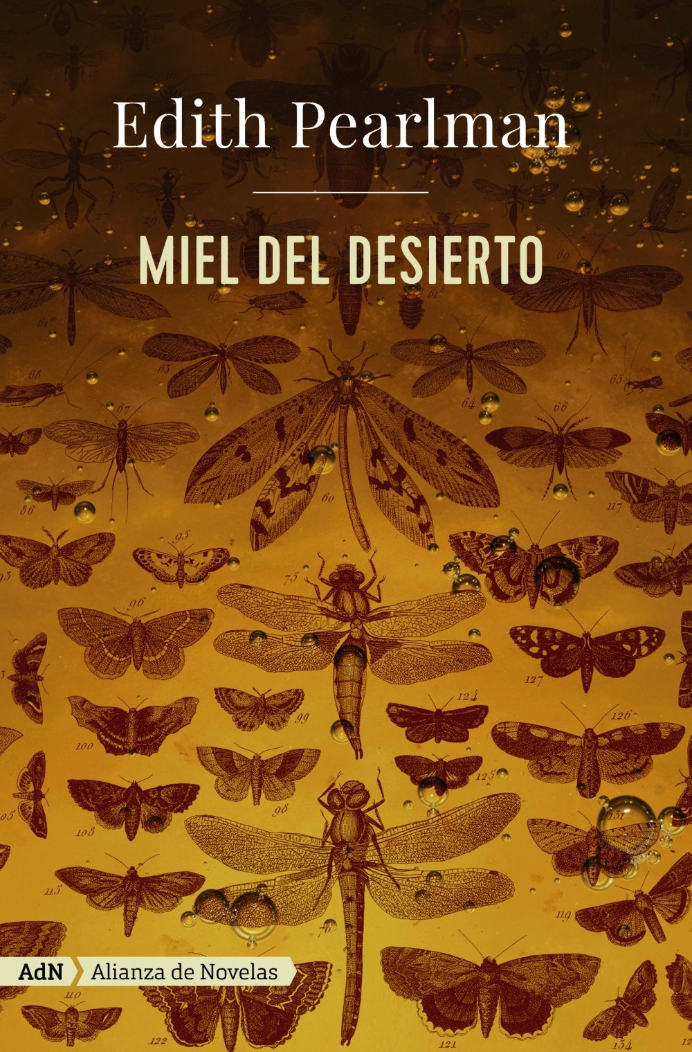 Miel del desierto (AdN) (AdN Alianza de Novelas)