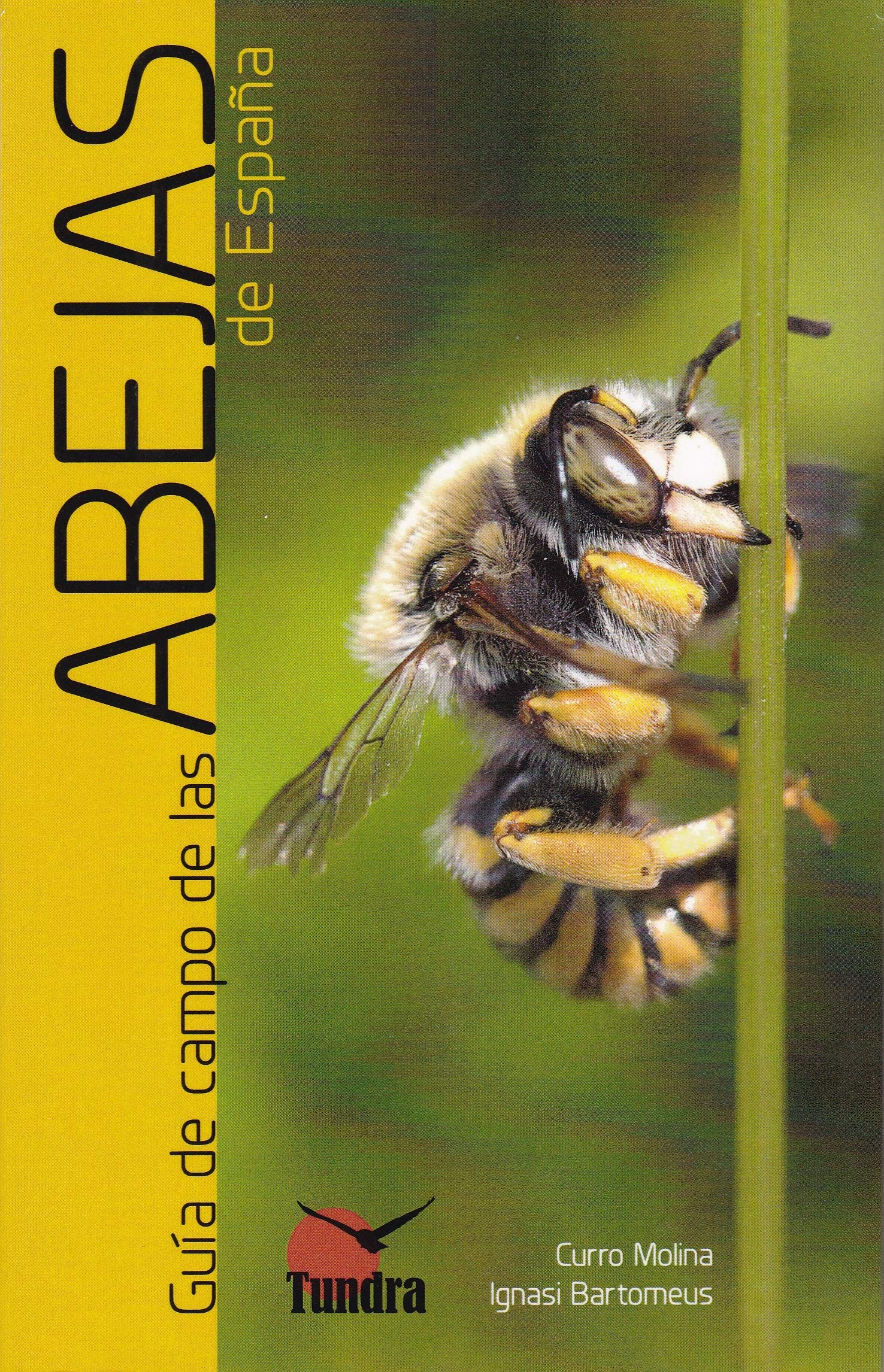 Guía de campo de las abejas de España (MI PRIMERA GUIA DE...)