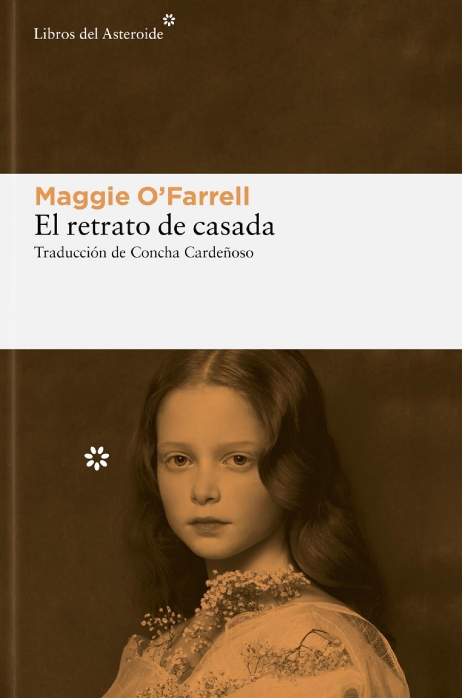El retrato de casada: 293 (Libros del Asteroide)
