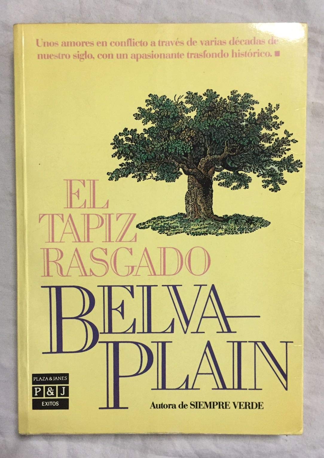 Tapiz rasgado,el.