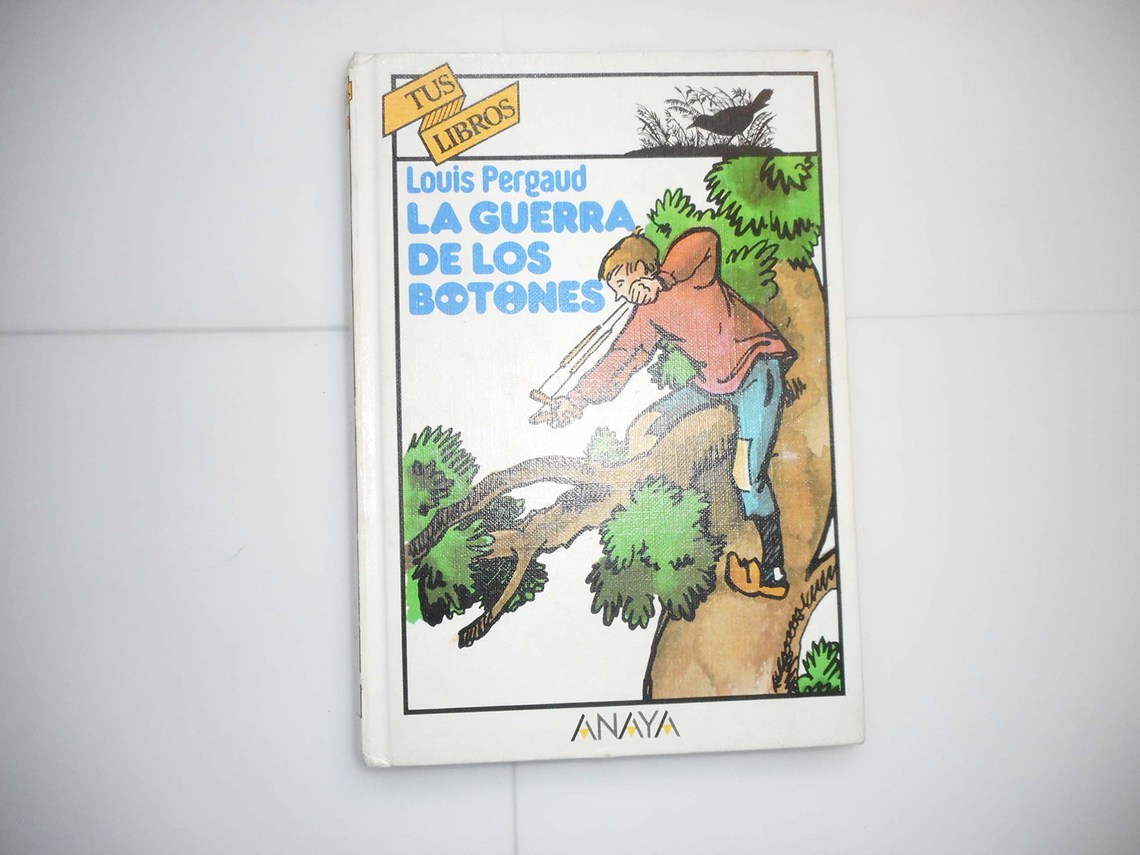 La guerra de los botones/ The War of the Buttons