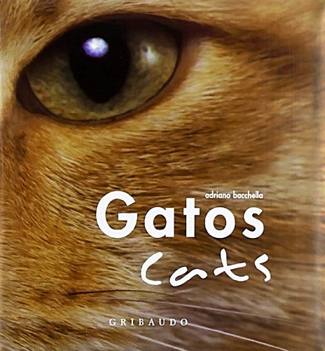 Gatos-Cats. Ediz. illustrata
