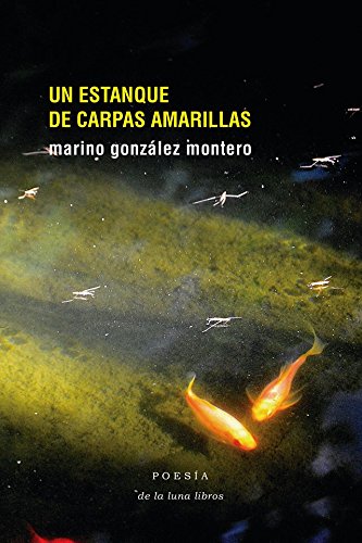Un Estanque De Carpas Amarillas