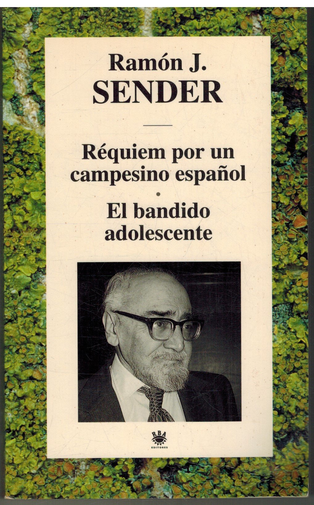 Requiem por un campesino español;el bandido adolescente
