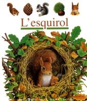 L’esquirol: 41 (Mundo maravilloso)