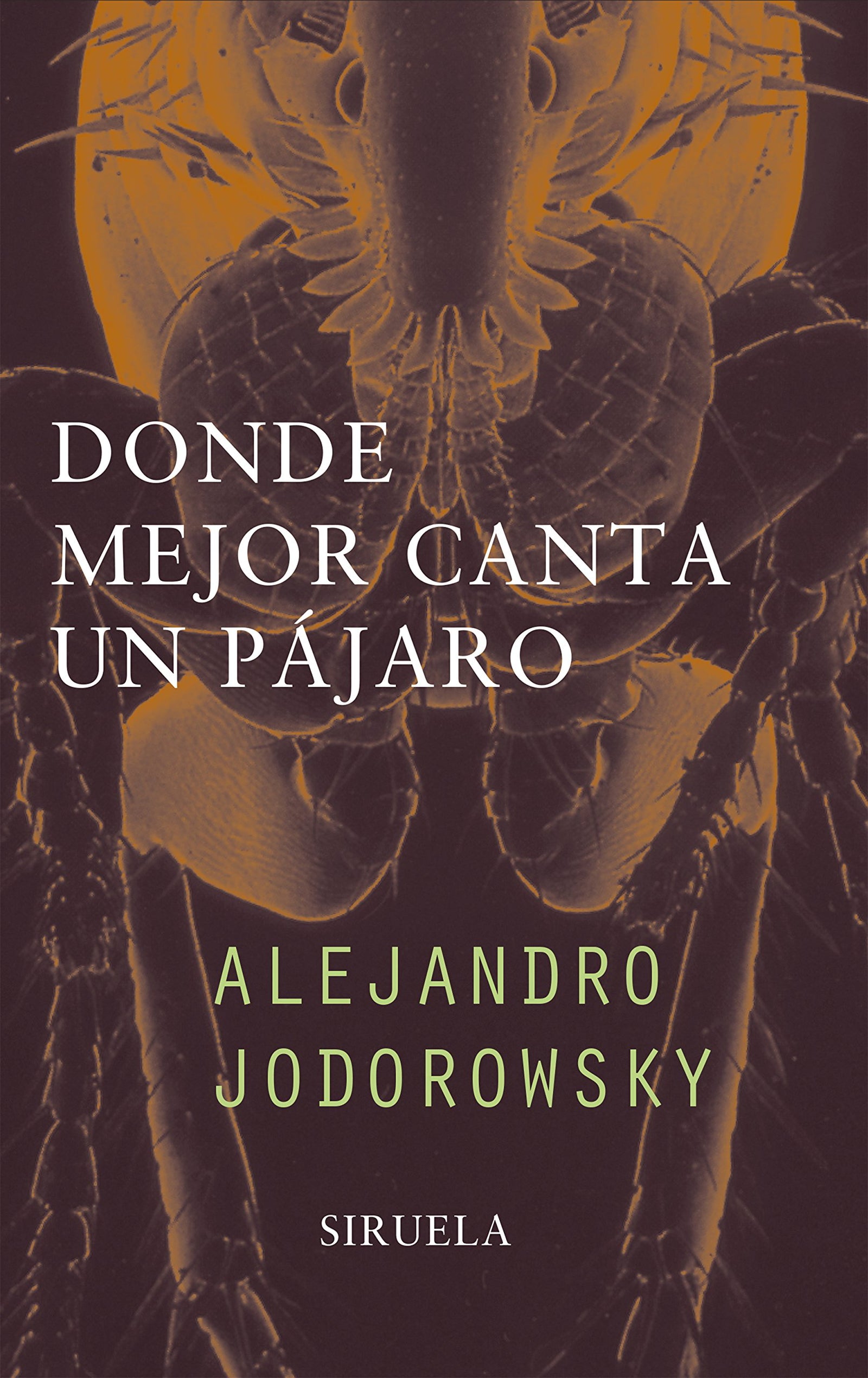 Donde mejor canta un pájaro: 145 (Libros del Tiempo)