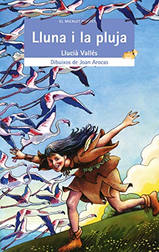 Lluna i la pluja: 114 (El Micalet Galàctic)