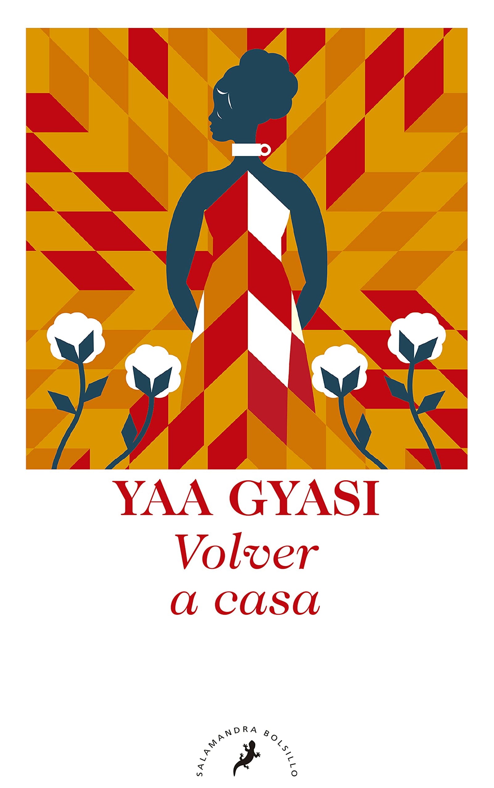 Volver a casa (Salamandra Narrativa)