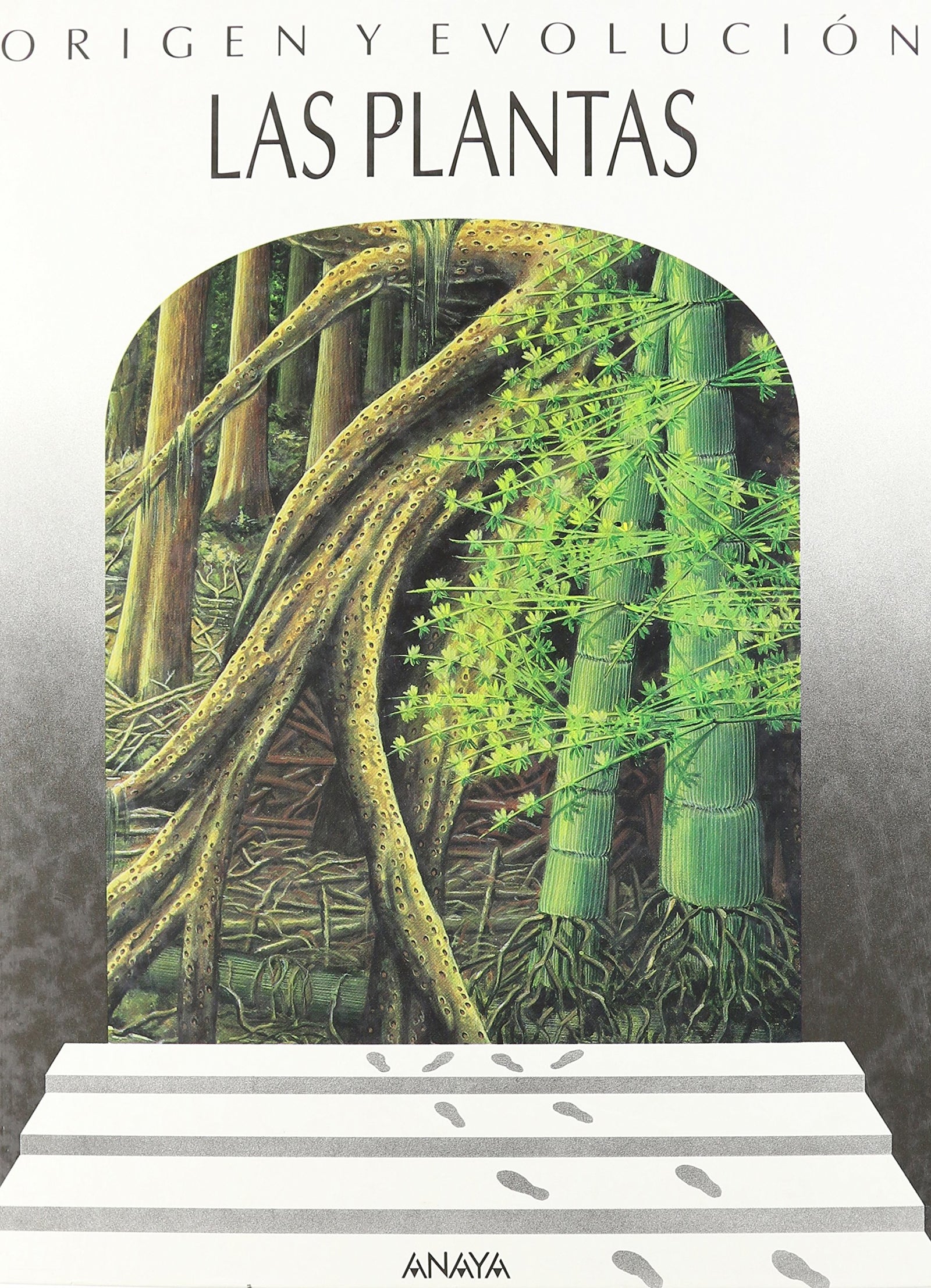 Plantas, las (Coleccion)
