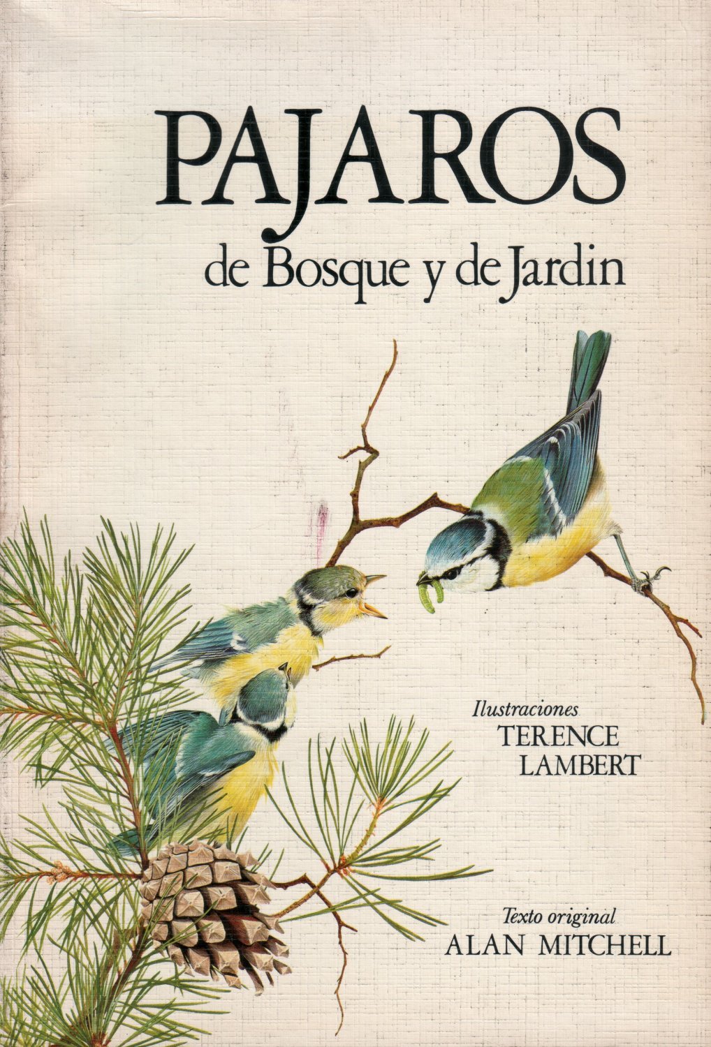 Pájaros de bosque y de jardín