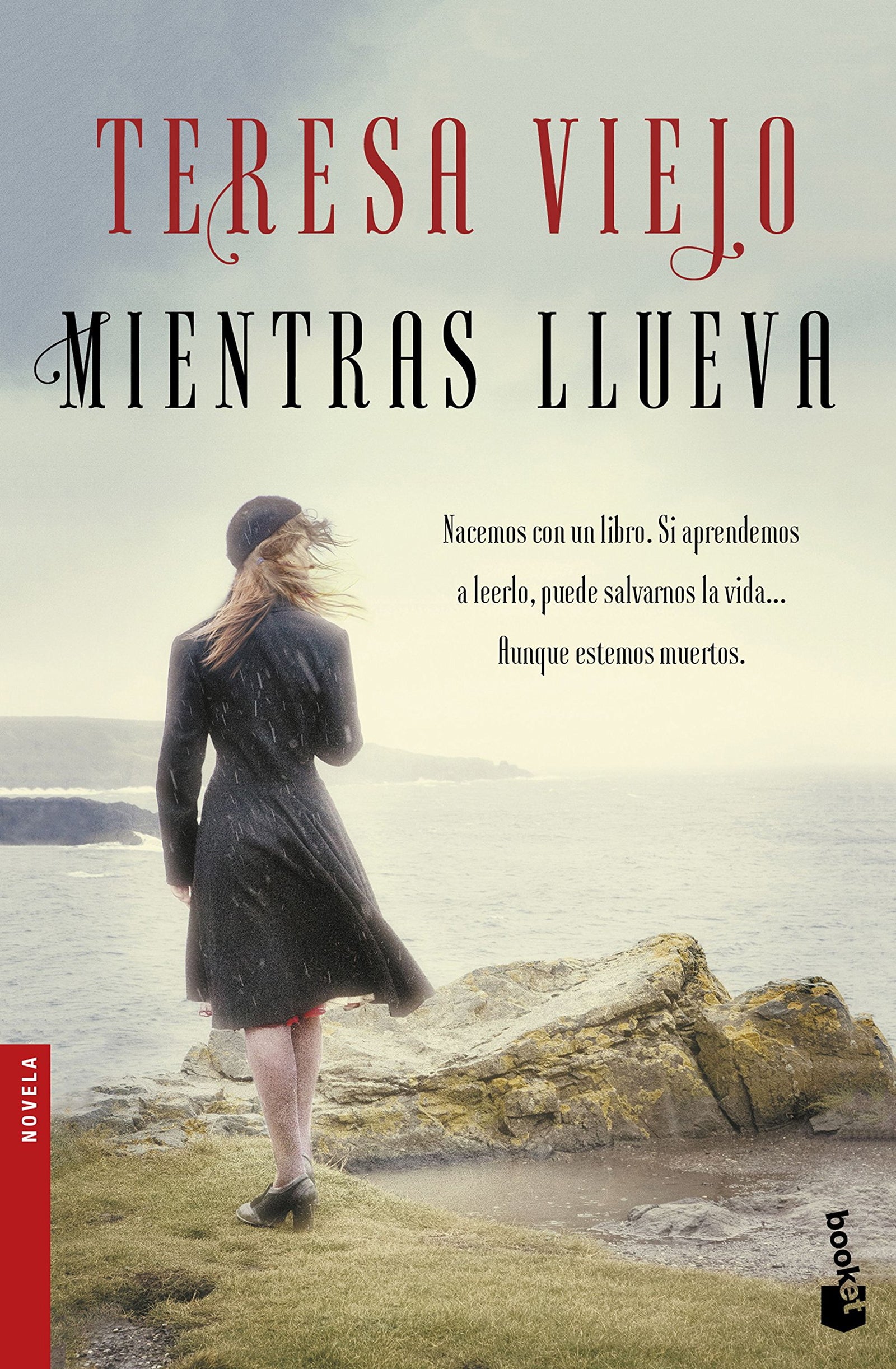 Mientras llueva (Novela)