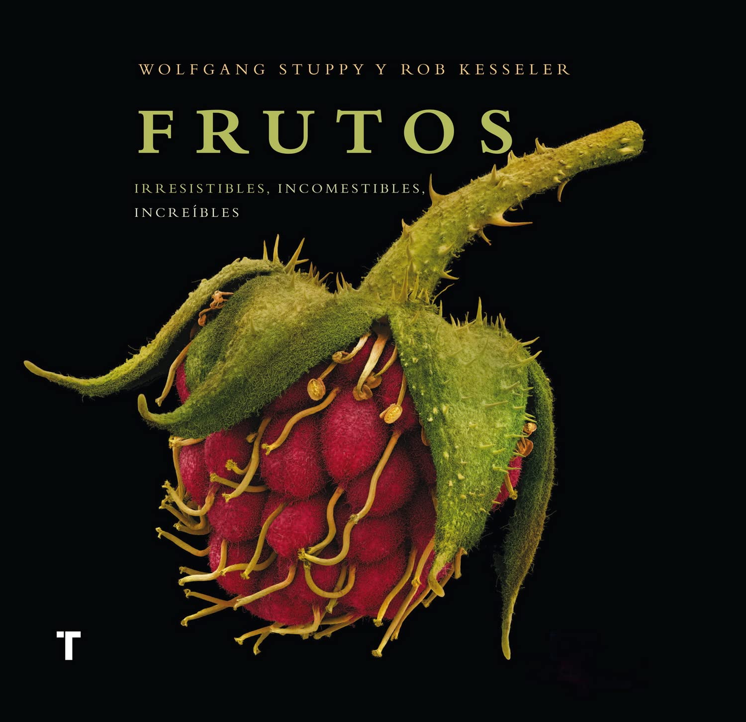 Frutos: Irresistibles, incomestibles, increíbles (Arte y Fotografía)