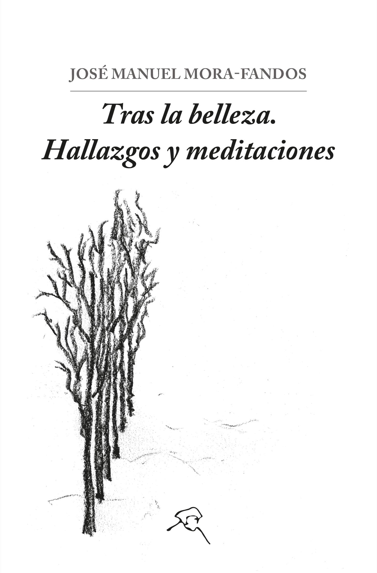 Tras la belleza: Hallazgos y meditaciones