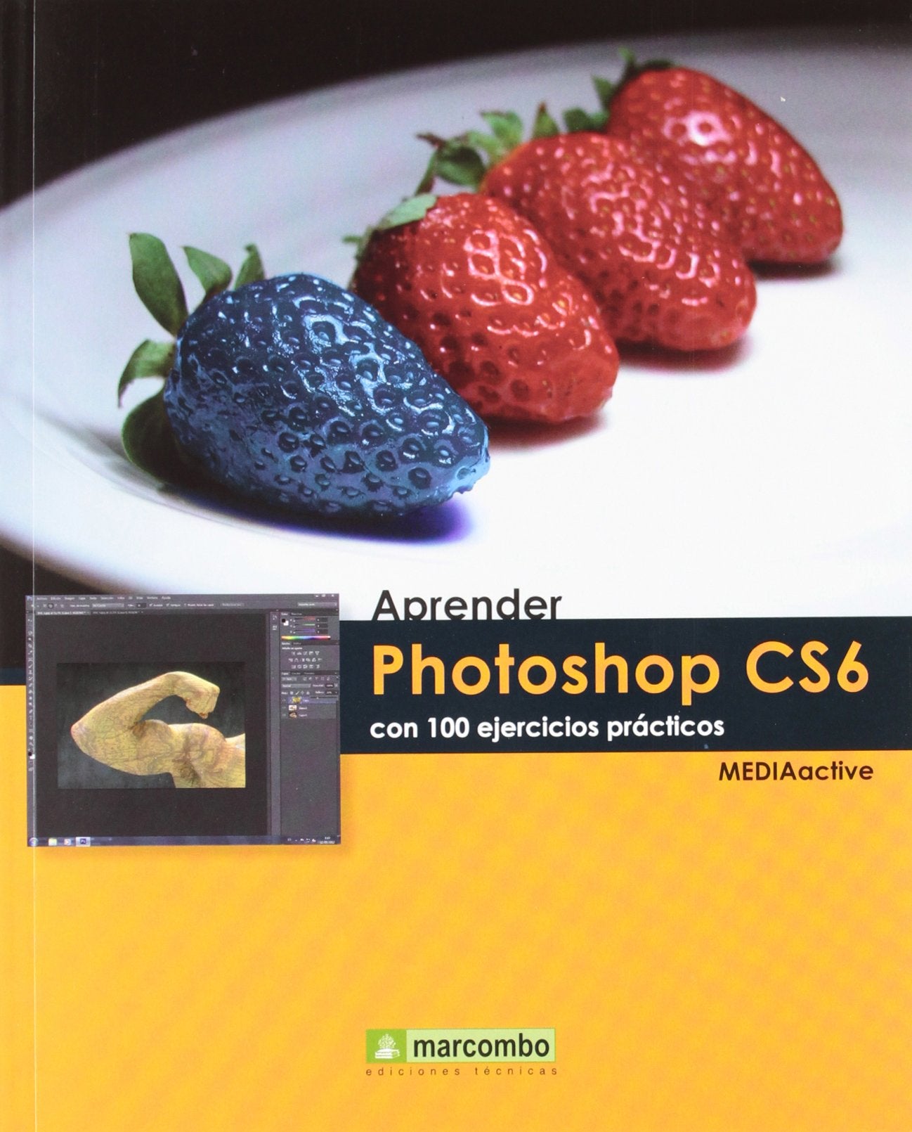 Aprender Photoshop CS6 con 100 ejercicios prácticos (APRENDER...CON 100 EJERCICIOS PRÁCTICOS)