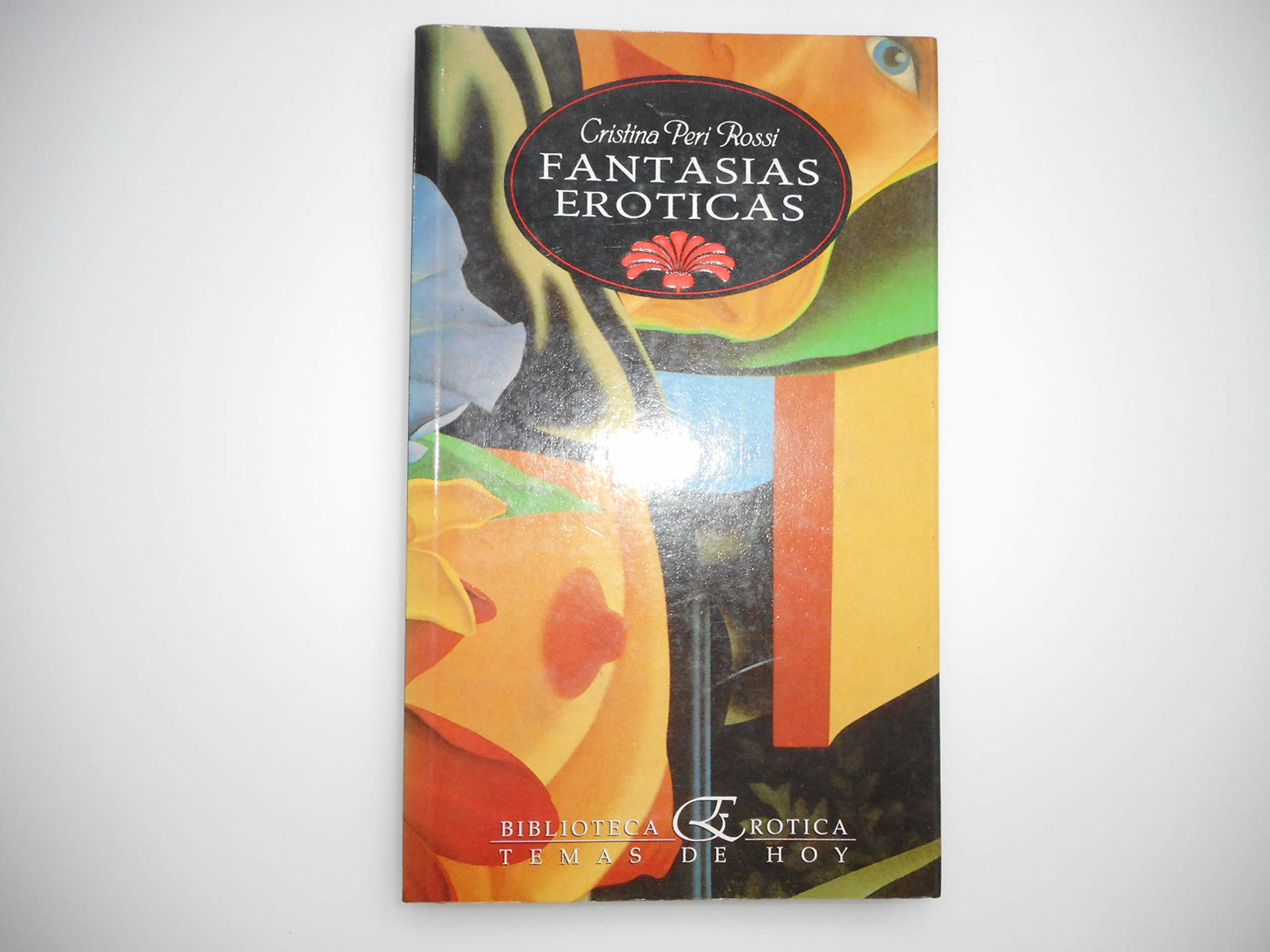 Fantasias Eroticas/ Erotic fantasies