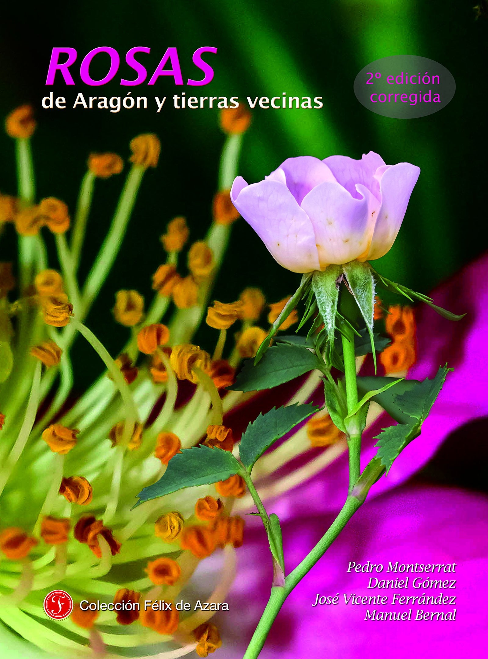 Rosas de Aragón y tierras vecinas: 2ª edición corregida: 14 (Monografías de Botánica Ibérica)