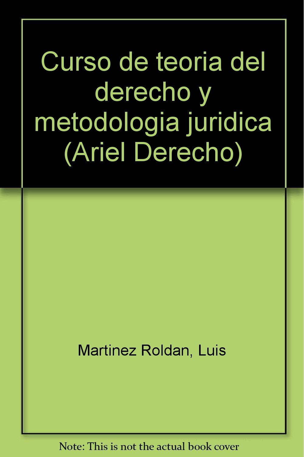 Curso de teoria del derecho y metodologia juridica