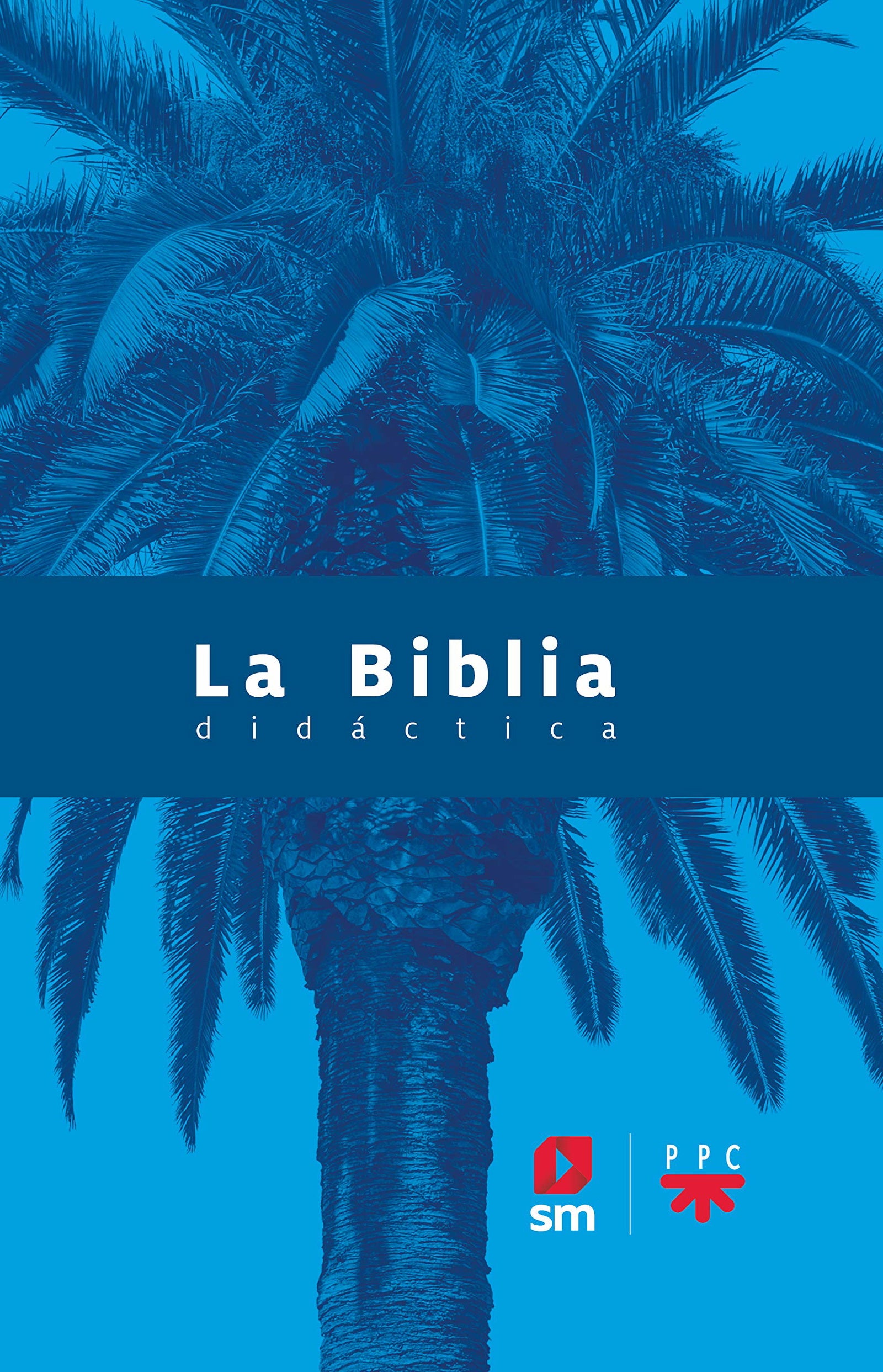 La Biblia Didactica. 2020 (SIN COLECCION)