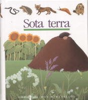 Sota terra: 6 (Mundo maravilloso)