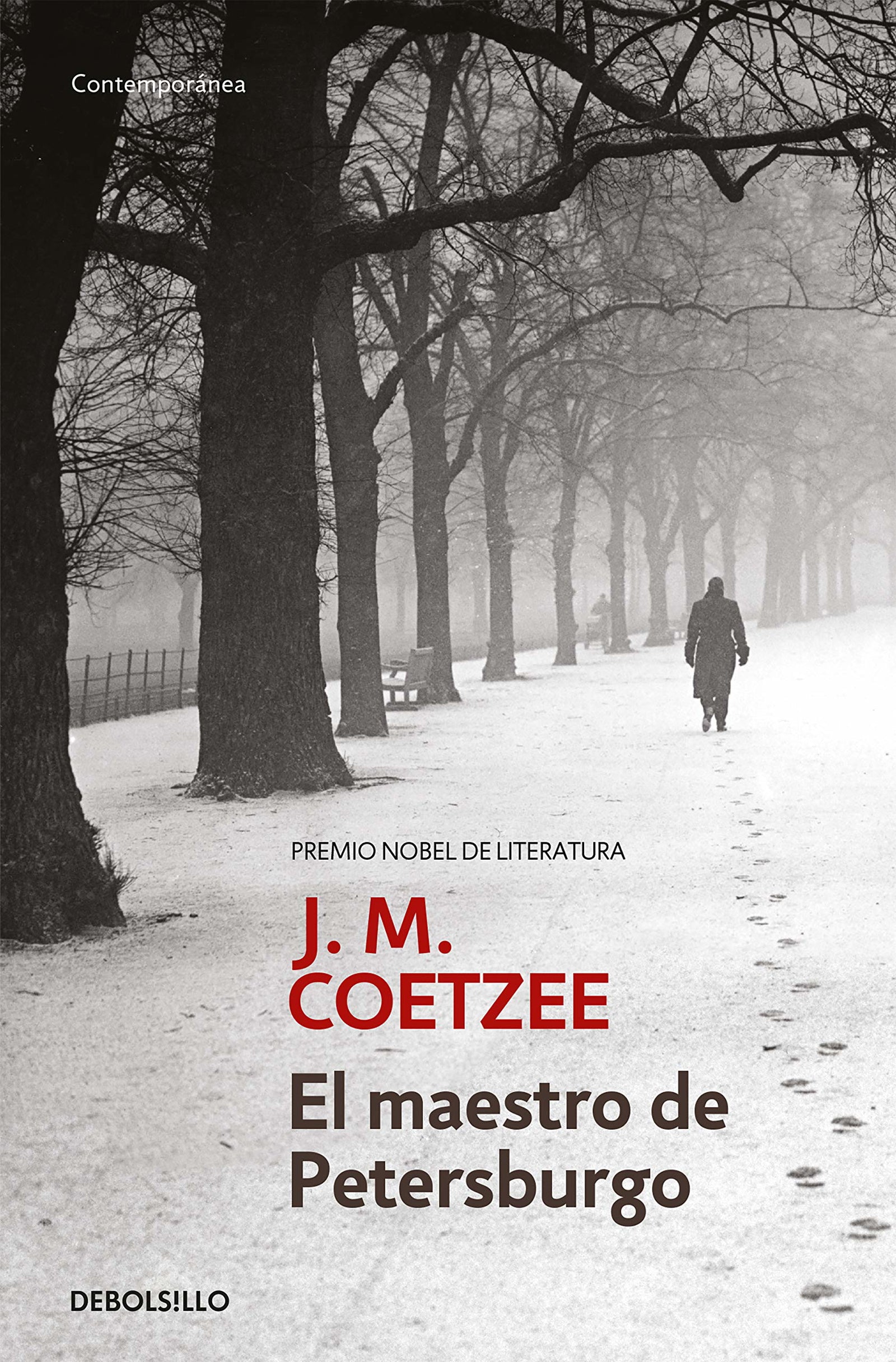 El maestro de Petersburgo: 3 (Contemporánea)