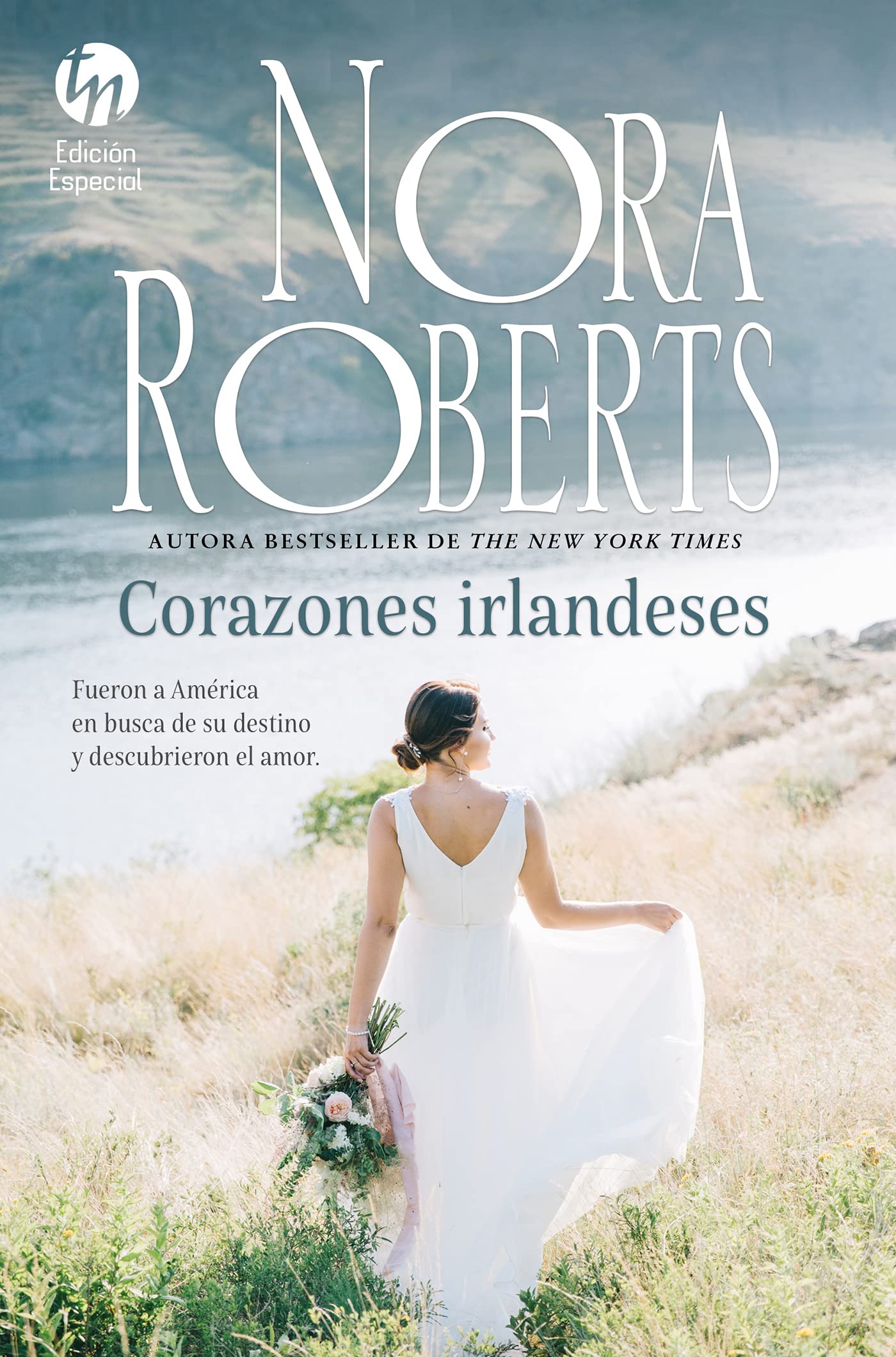 Corazones irlandeses: 17 (ESPECIAL TOP NOVEL)