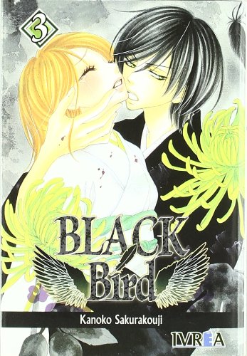 Black bird 03