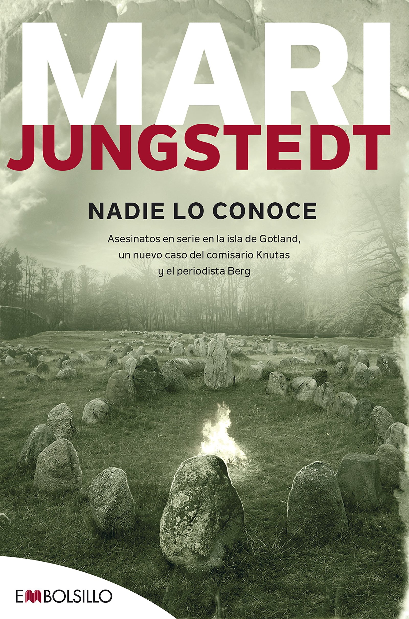 Nadie lo conoce: Asesinatos en serie en la isla de Gotland, otro caso para el comisario Knutas y el periodista Berg. (EMBOLSILLO)