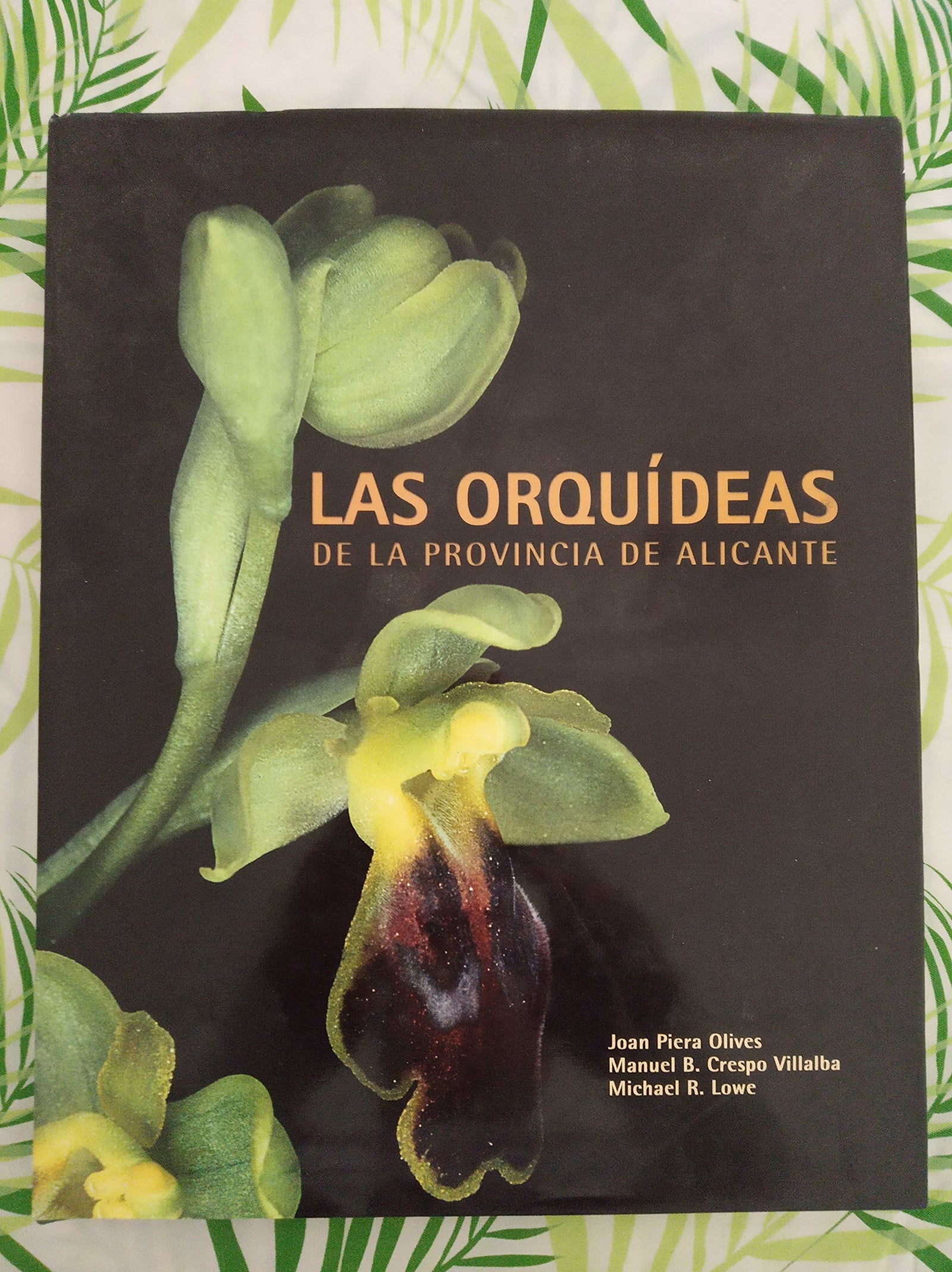Las orquideas de la provincia de Alicante