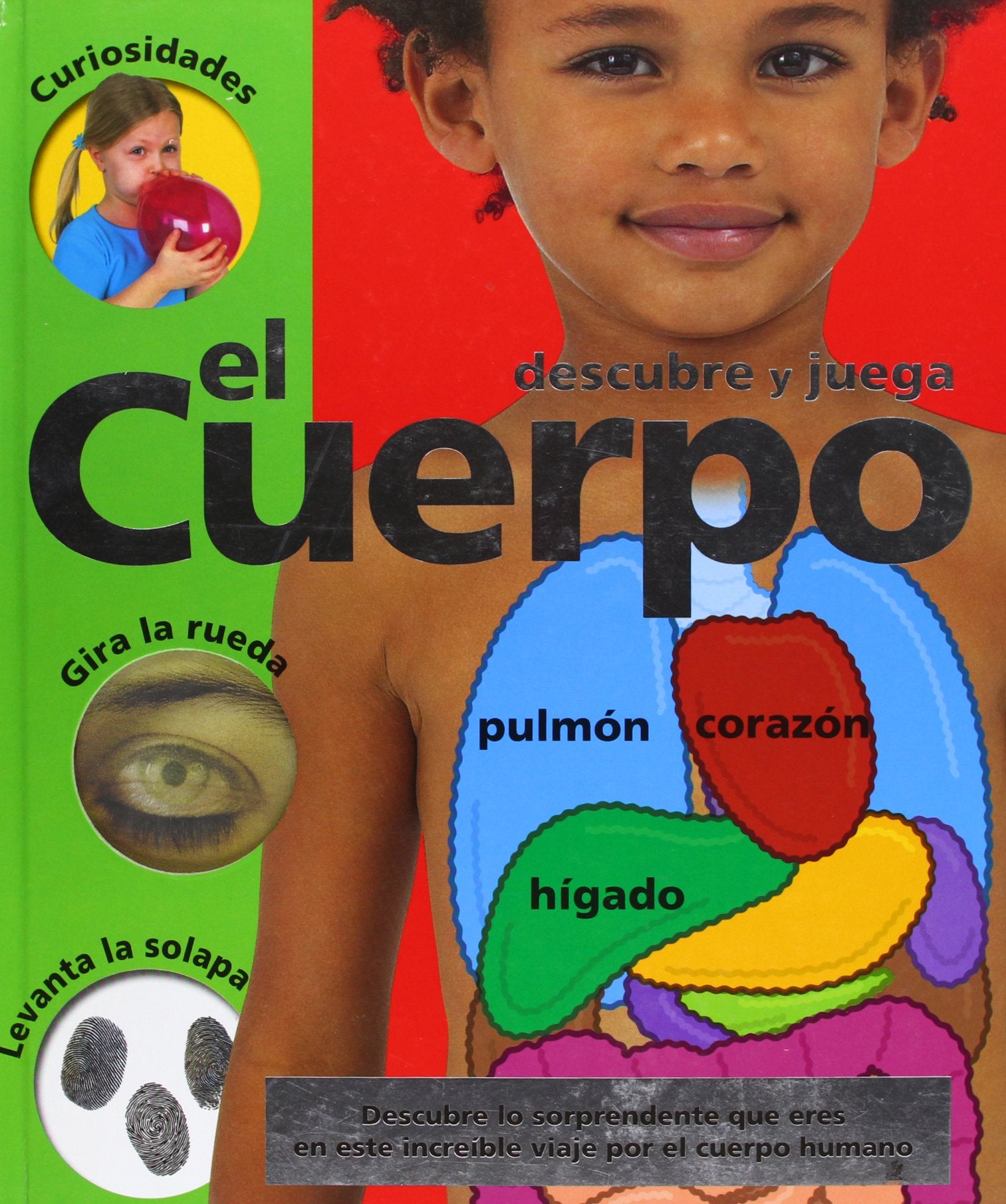 El cuerpo (Descubre y juega)