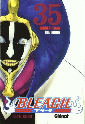 Bleach 35 (Shonen Manga)