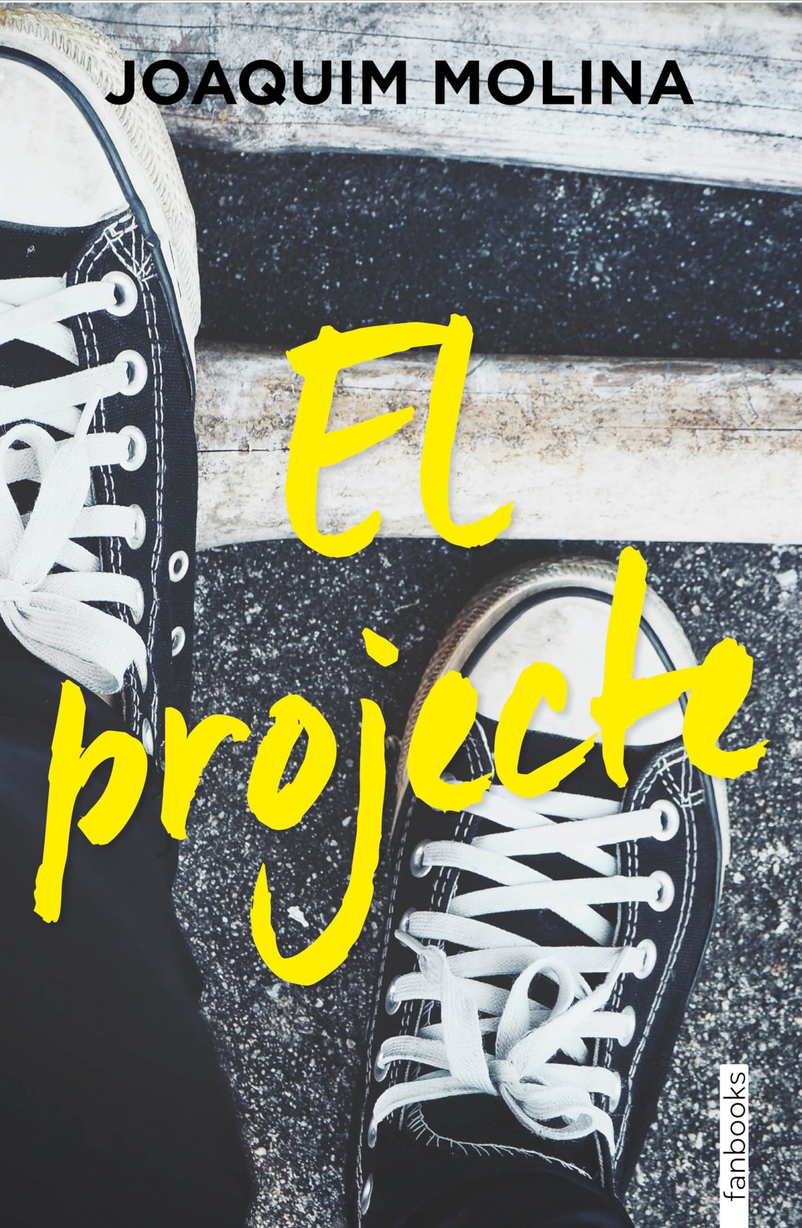 El projecte (Ficció contemporània)