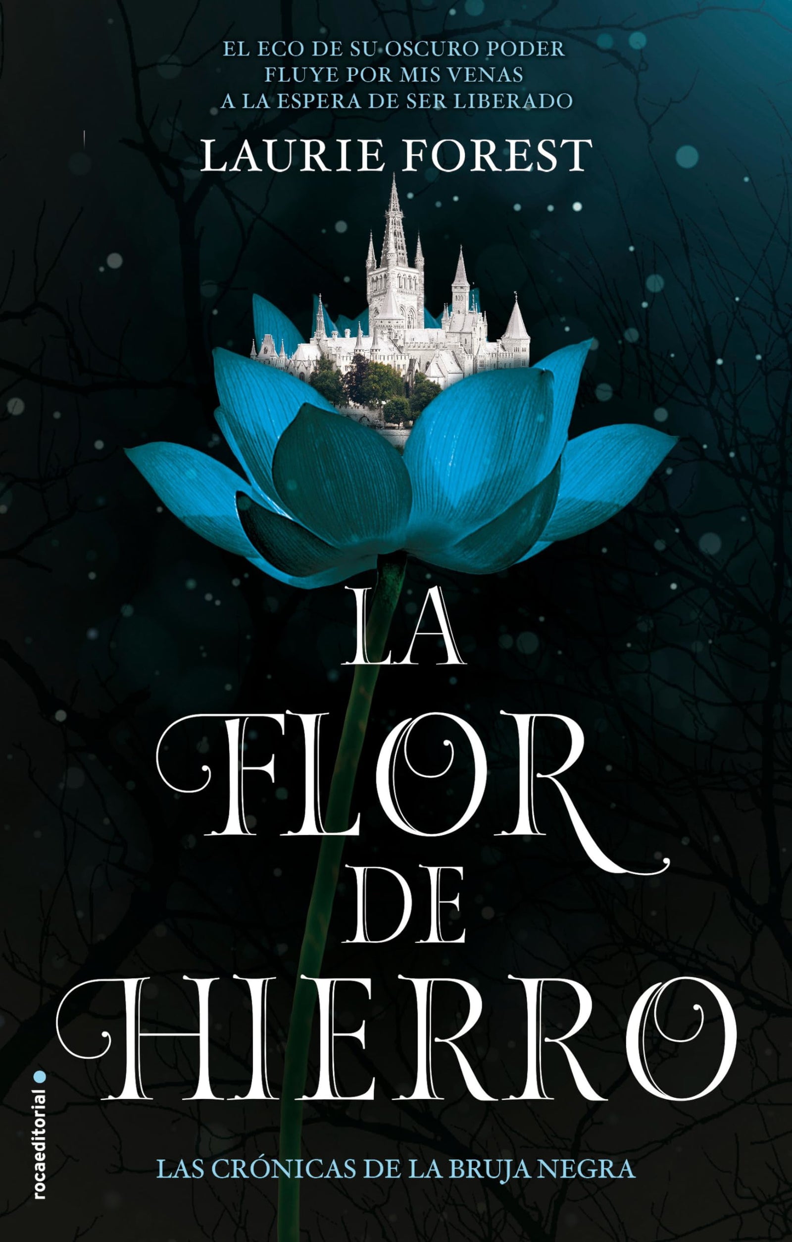 La Flor de Hierro (Las Crónicas de la Bruja Negra 2) (Roca Infantil y Juvenil)