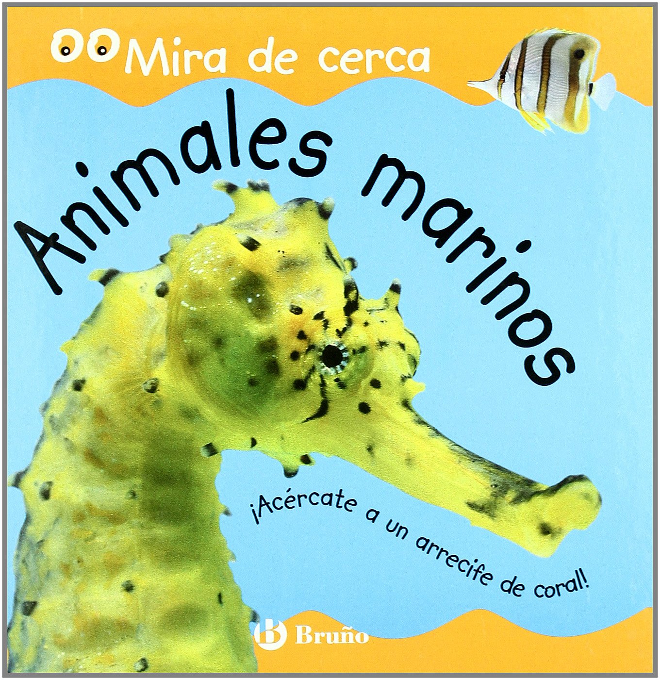 ANIMALES MARINOS-MIRA DE CERCA (SIN COLECCION)