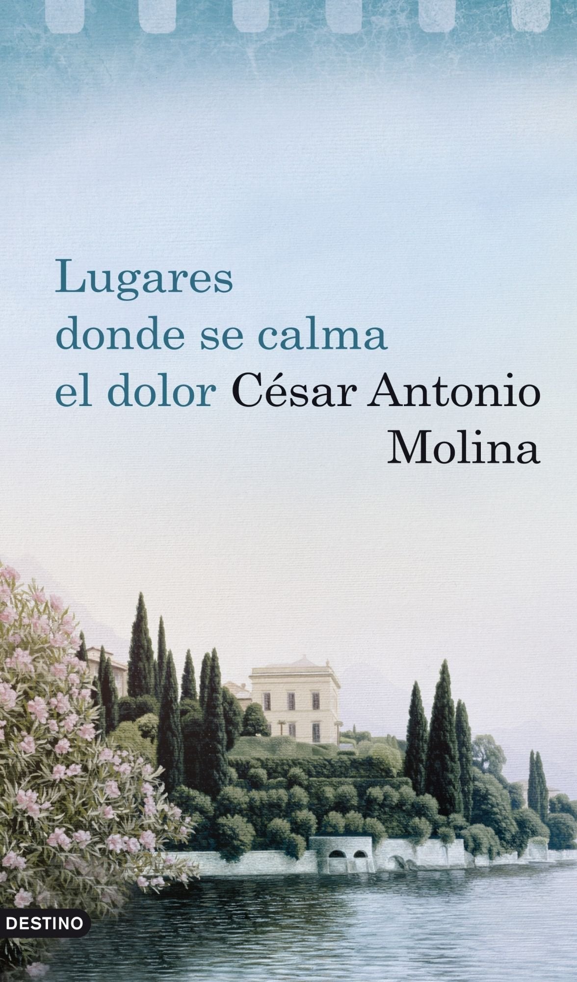 Lugares donde se calma el dolor (Áncora & Delfín)