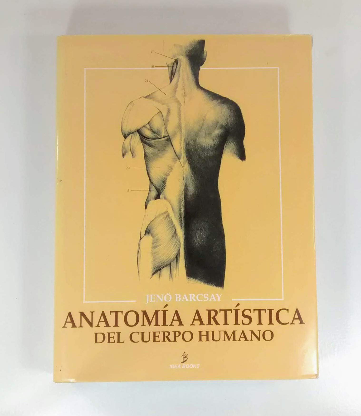 Anatomia artistica del cuerpo humano (Dibujo)